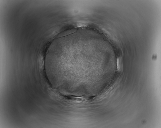 X0000102511443200808221806