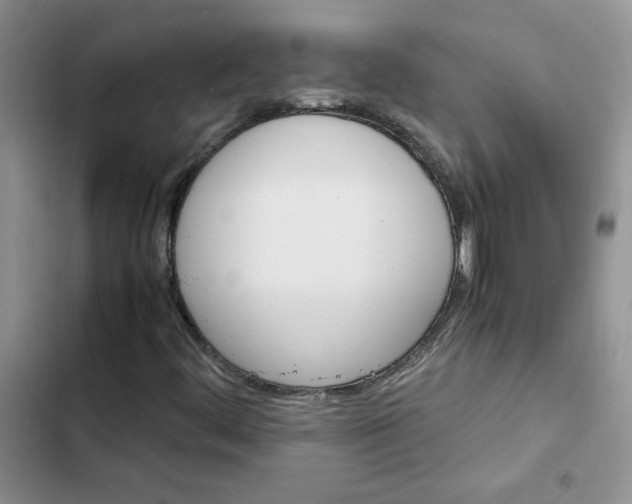 X0000102511444200808221806
