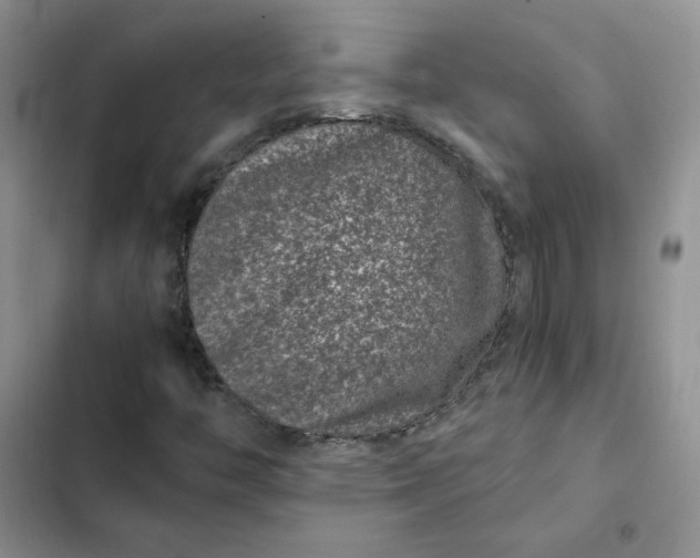 X0000102511446200808221806