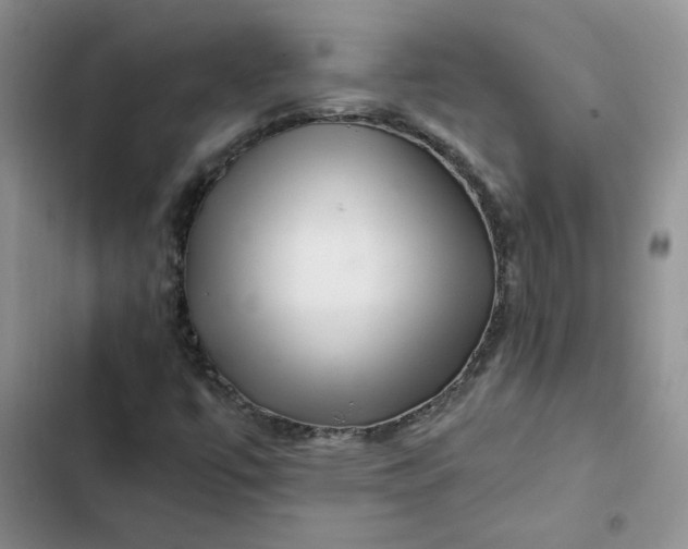 X0000102511447200808221806