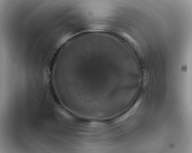 X0000102511449200808221806