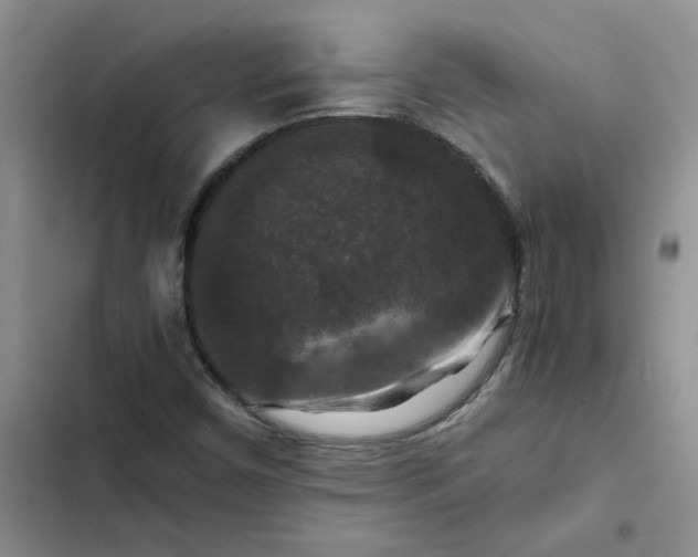 X0000102511450200808221806