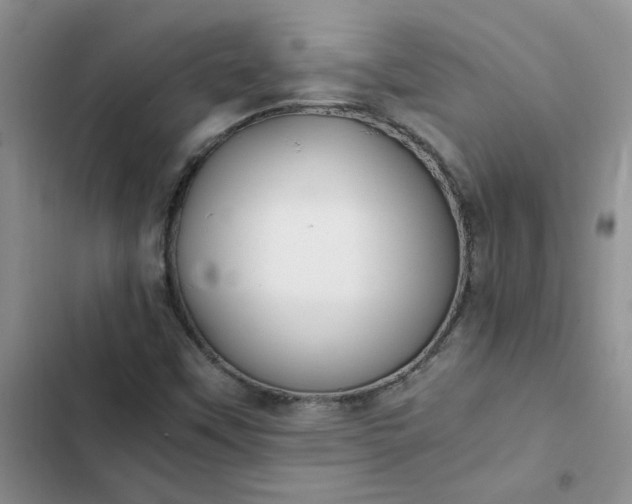 X0000102511451200808221806