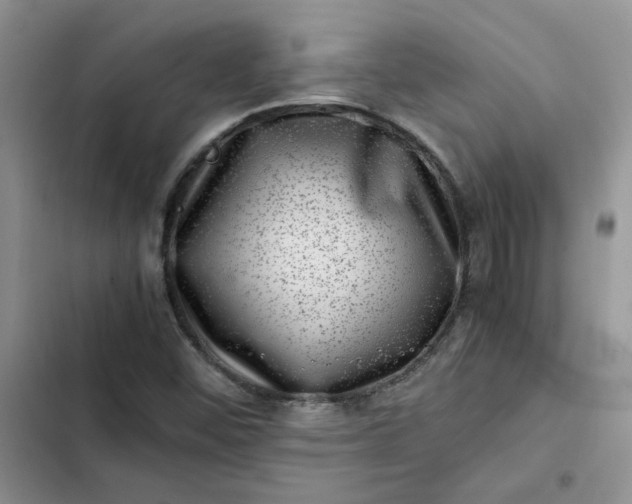 X0000102511452200808221806