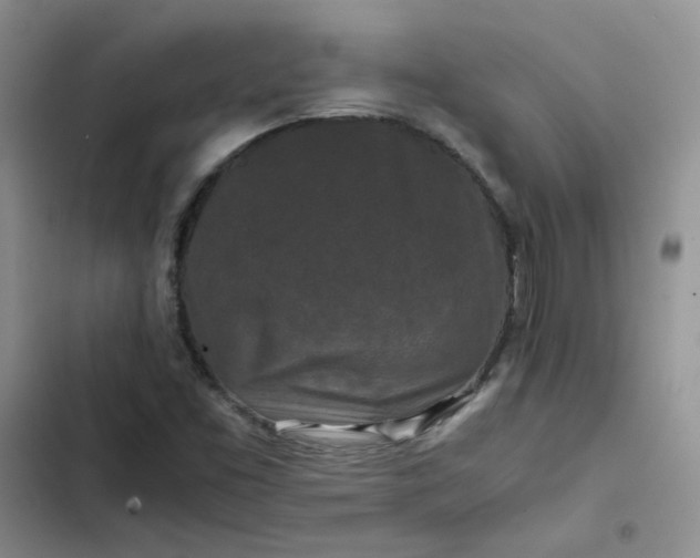 X0000102511453200808221806