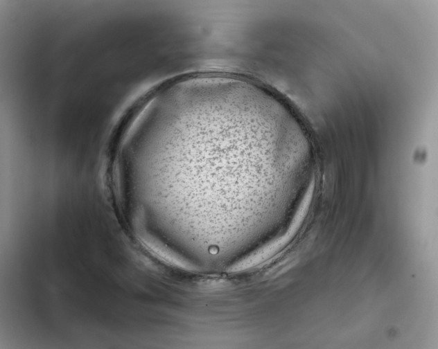 X0000102511454200808221806