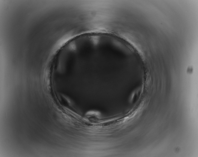 X0000102511455200808221806
