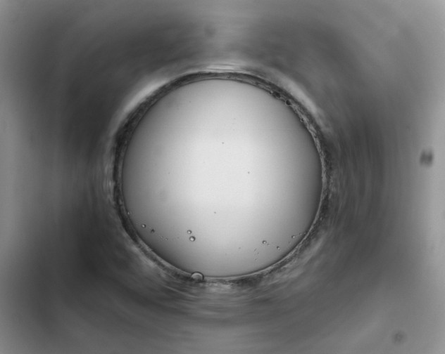 X0000102511456200808221806