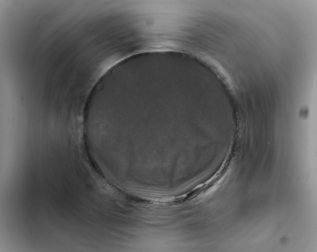 X0000102511457200808221806