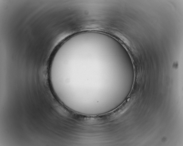 X0000102511458200808221806
