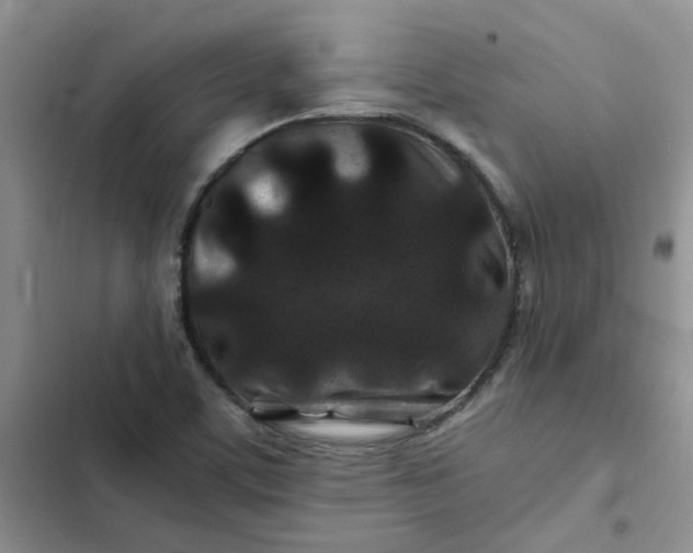 X0000102511459200808221806