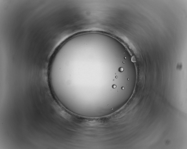 X0000102511460200808221806