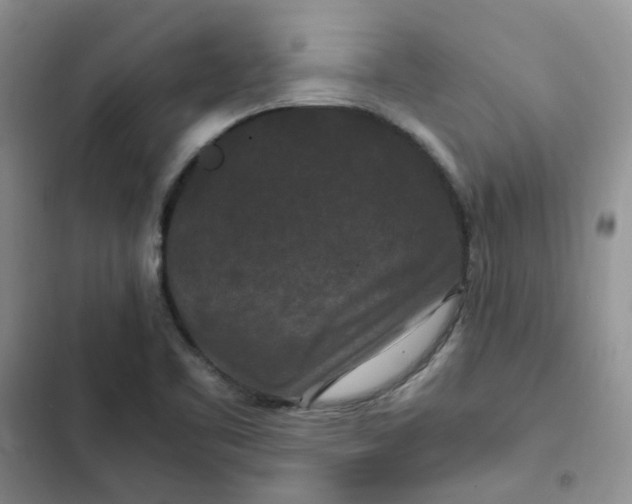 X0000102511461200808221806