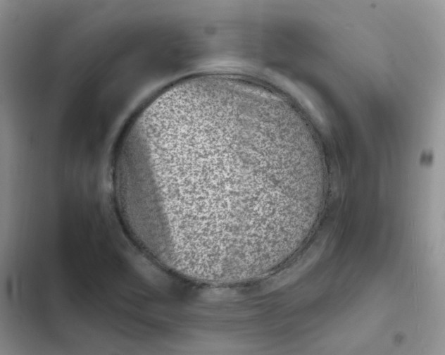 X0000102511462200808221806