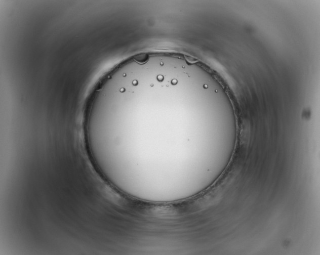 X0000102511464200808221806