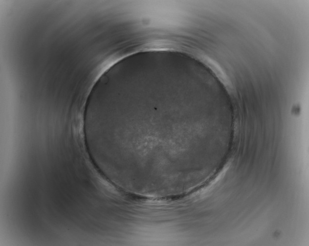 X0000102511465200808221806