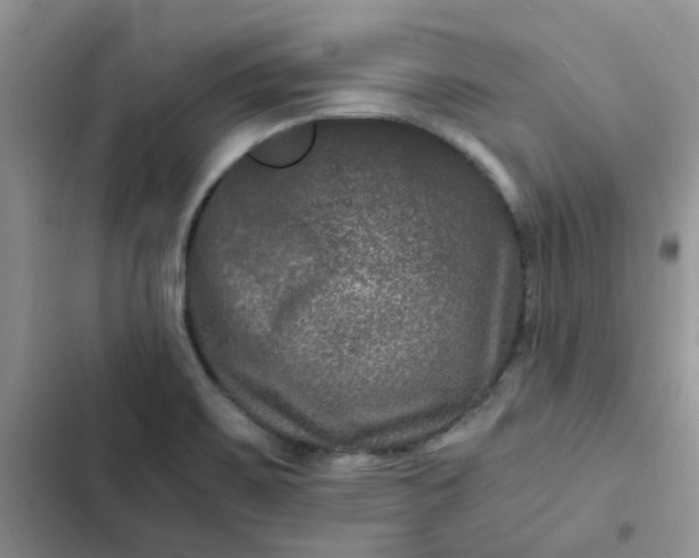X0000102511467200808221806
