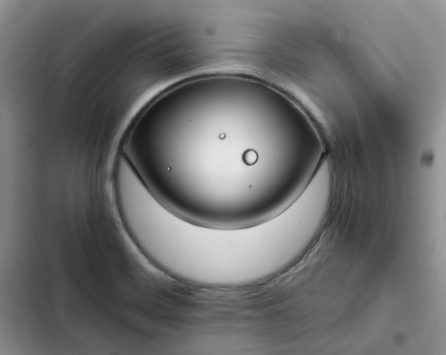 X0000102511468200808221806