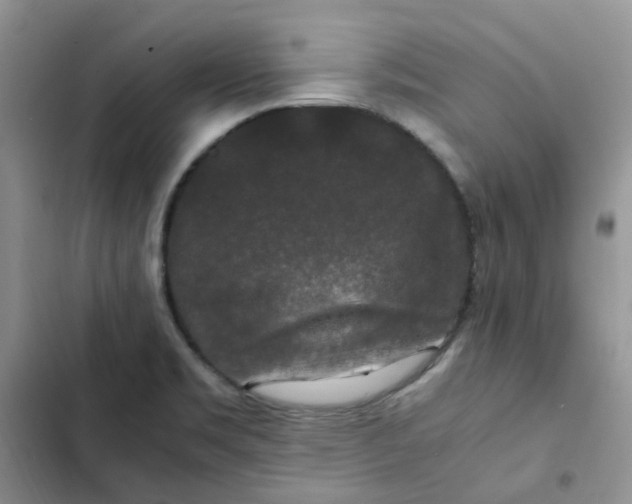X0000102511469200808221806