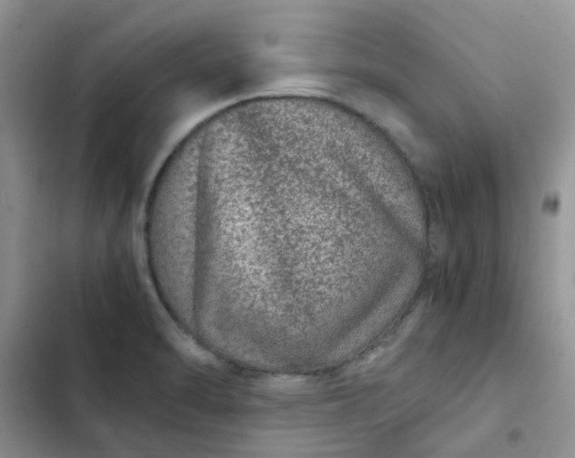 X0000102511470200808221806