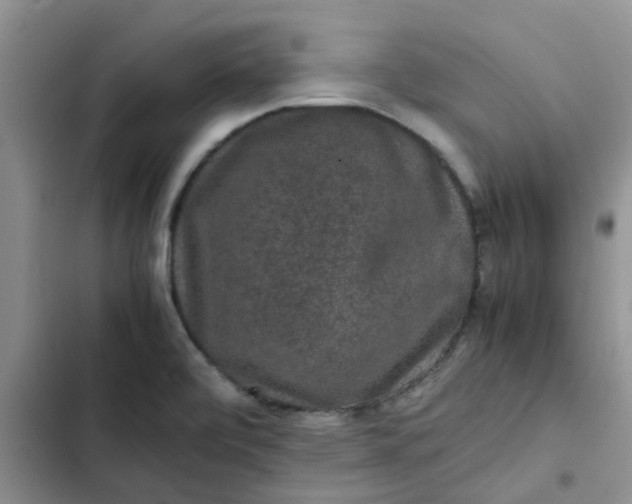 X0000102511472200808221806