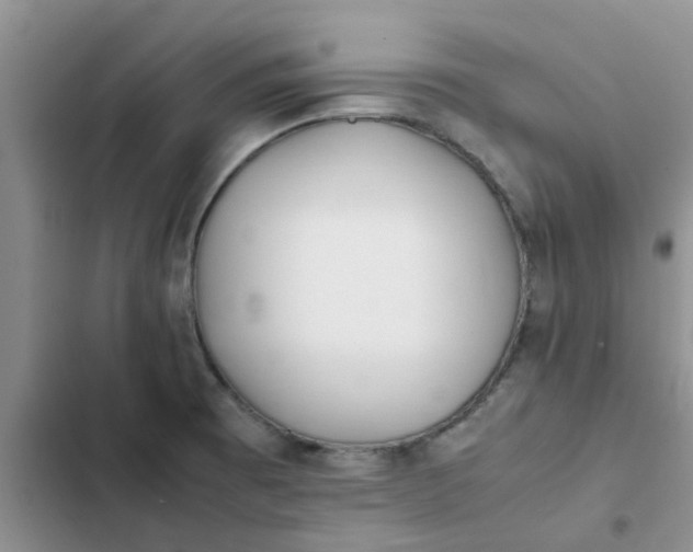 X0000102511473200808221806