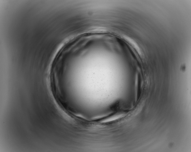 X0000102511475200808221806