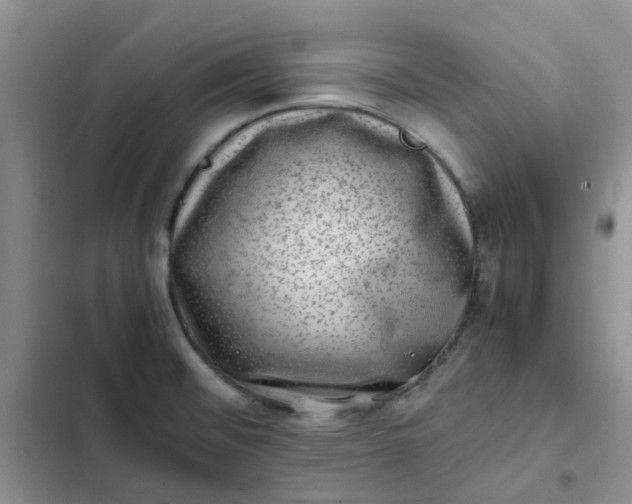 X0000102511476200808221806