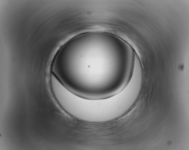 X0000102511477200808221806