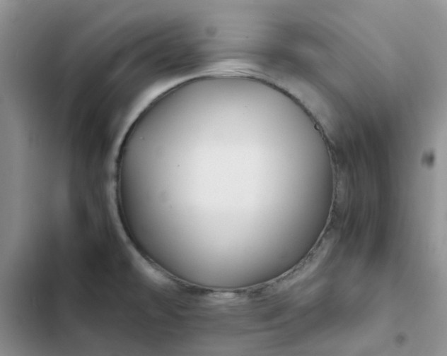 X0000102511478200808221806
