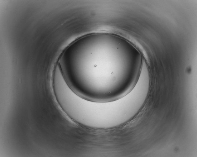 X0000102511480200808221806