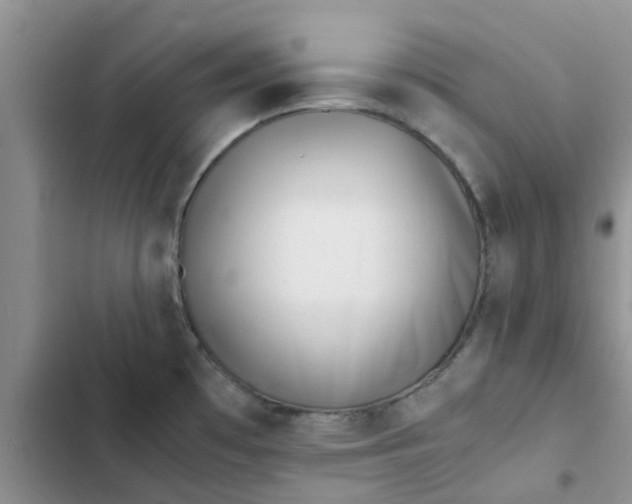 X0000102511481200808221806