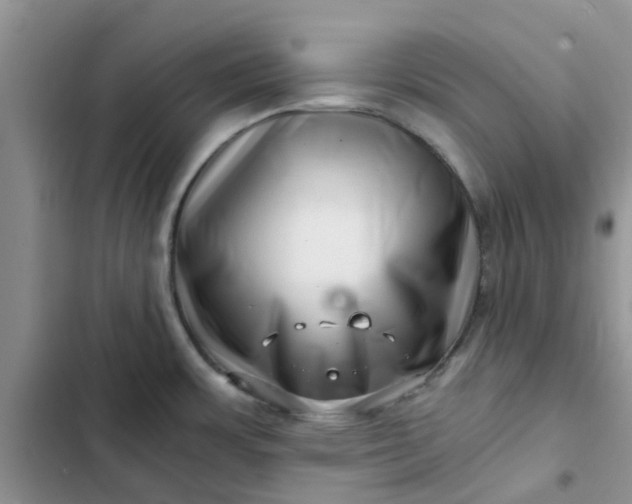 X0000102511483200808221806