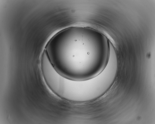 X0000102511484200808221806