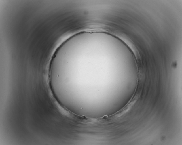 X0000102511485200808221806