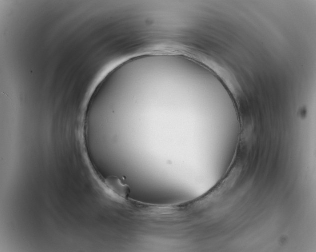 X0000102511486200808221806