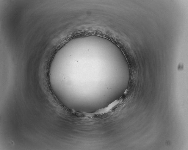 X0000102511489200808221805