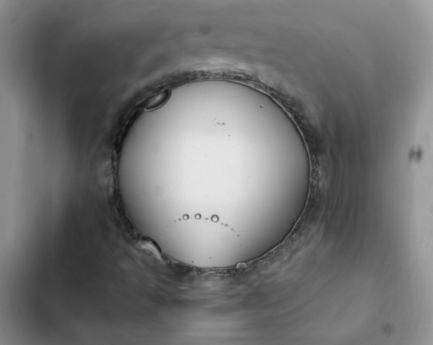 X0000102511493200808221805
