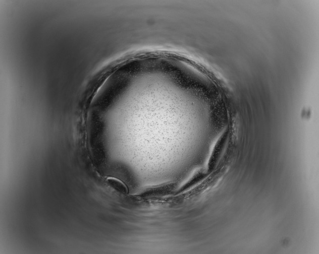 X0000102511494200808221805