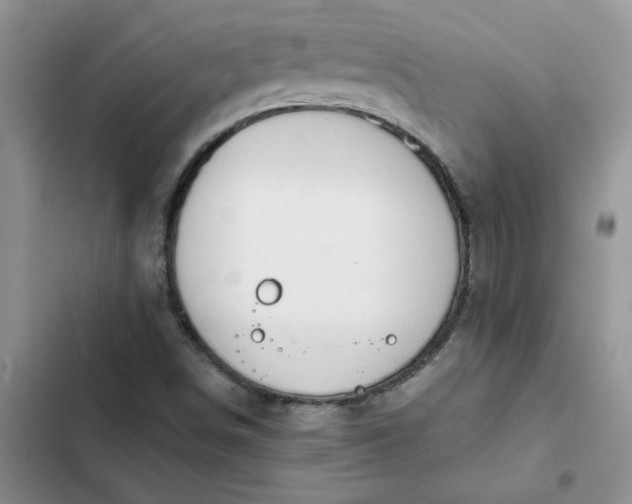 X0000102511498200808221805