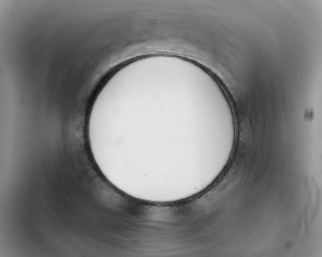 X0000102511499200808221805