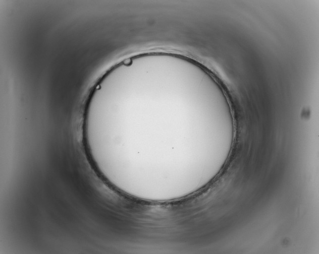 X0000102511504200808221805