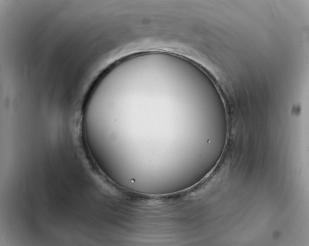 X0000102511507200808221805