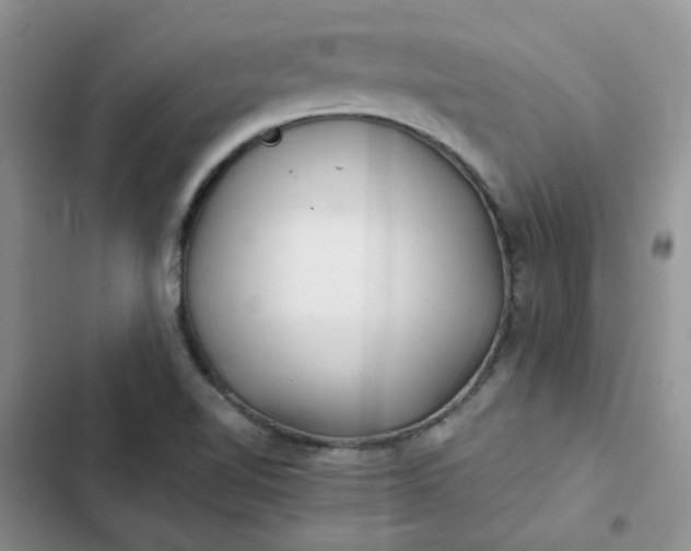 X0000102511510200808221805