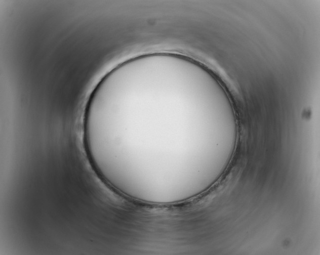 X0000102511512200808221805