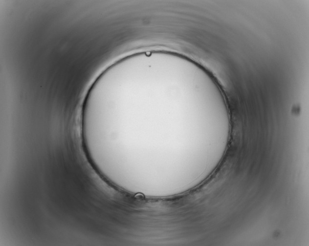 X0000102511516200808221806
