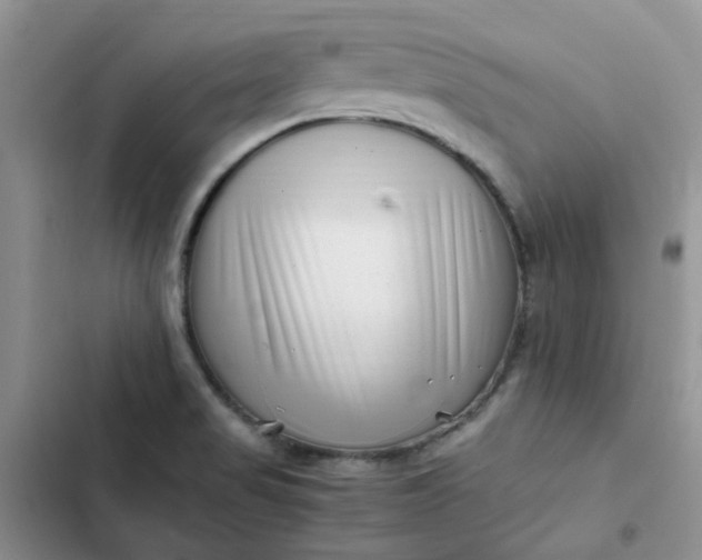 X0000102511517200808221806