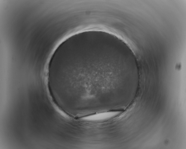 X0000102511519200808221806