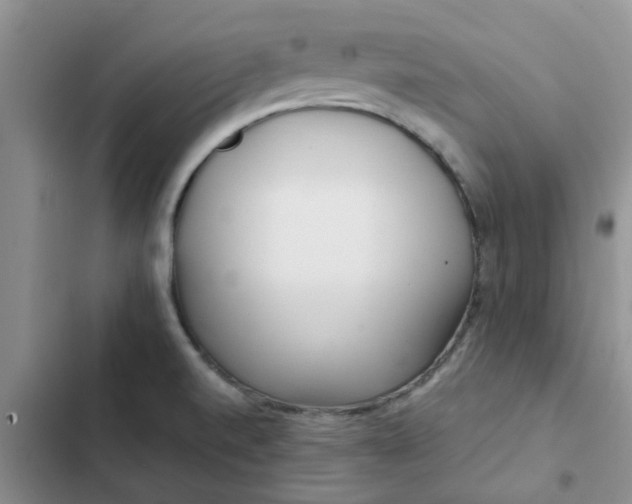 X0000102511520200808221806