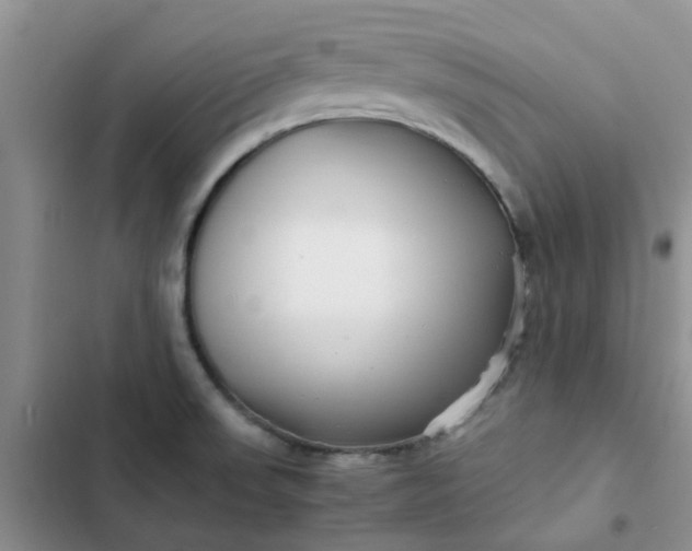 X0000102511523200808221806